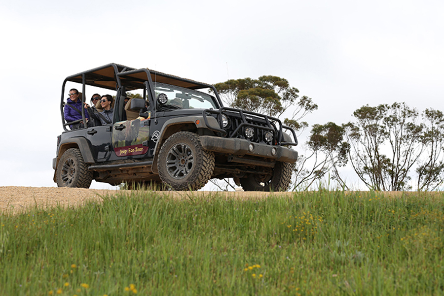 blog-2017-exploring-interior a car parked in a grassy field