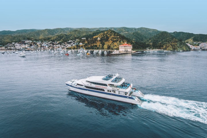 Catalina Jet boat approaching Avalon