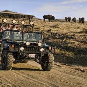 a truck driving down a dirt road