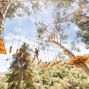 a group of people in a forest
