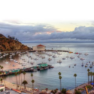 a group of people in a harbor next to a body of water