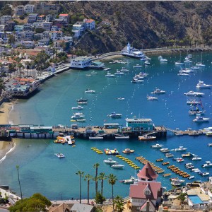 a harbor filled with boats