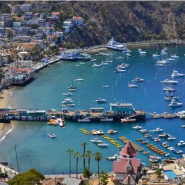 a harbor filled with boats