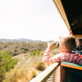 a boy sitting in front of a laptop