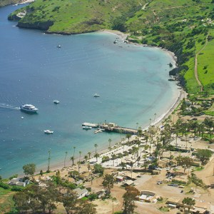 a large body of water surrounded by trees