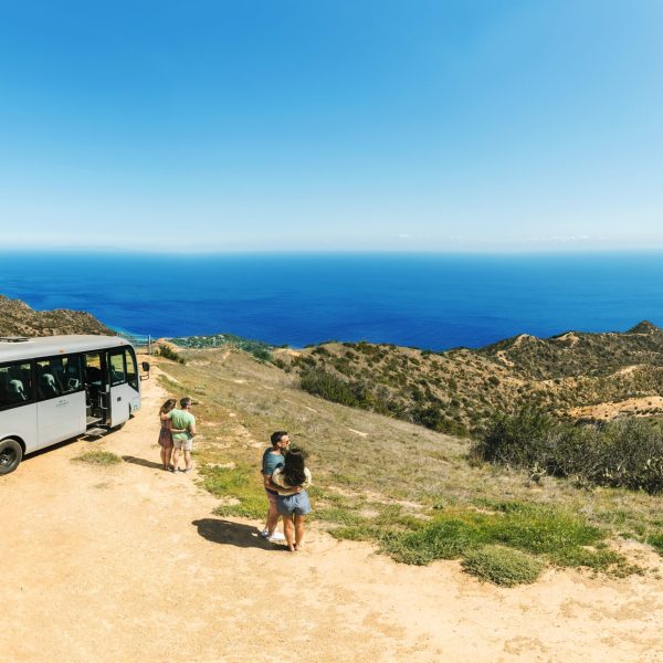 The Discover Avalon tour making a stop at an overlook.
