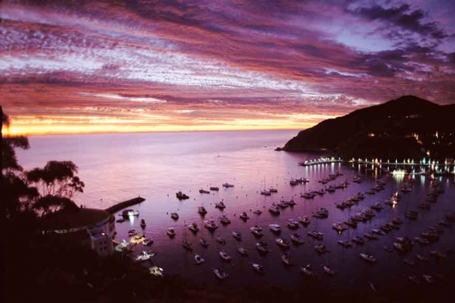 blog-2016-_spooky-catalina a sunset over a body of water