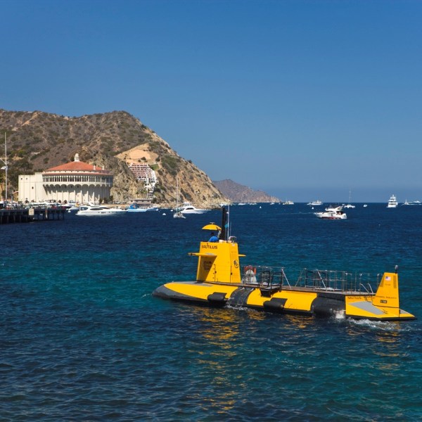 Semi-submersible tour in Catalina Island.