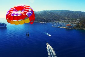 An aerial view of people parasailing in Catalina Island.