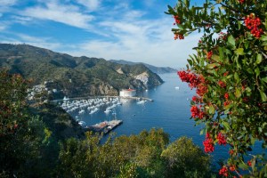 A picture of the Casino and Avalon.