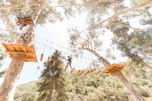 An obstacle on the Aerial Adventure excursion.