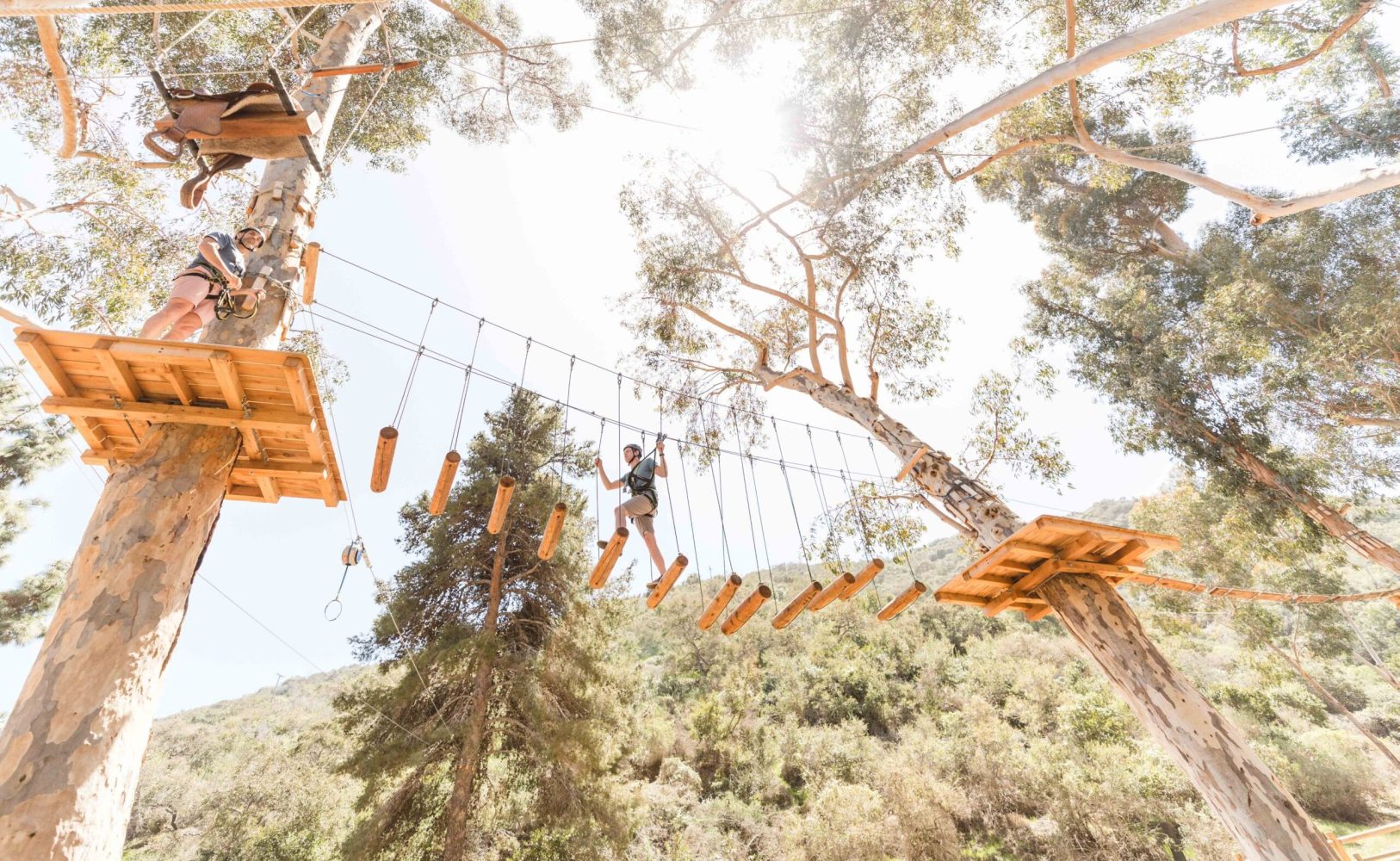 Visitors climbing through an obstacle course on the Aerial Adventure tour. 