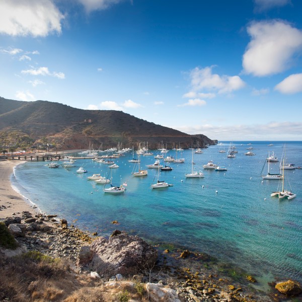 A picture of Two Harbors