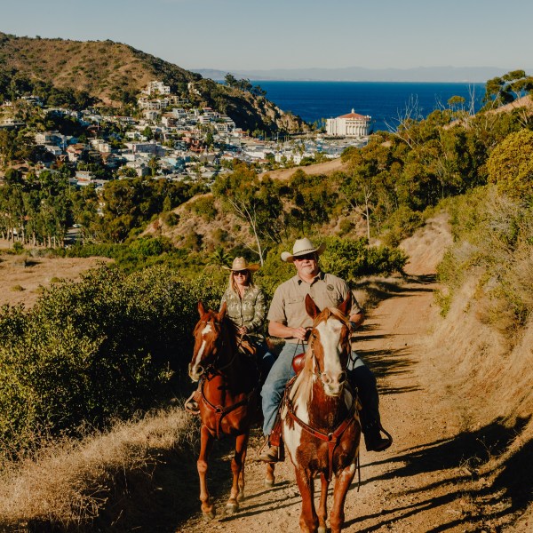 Two people riding horses on Catalina Island.