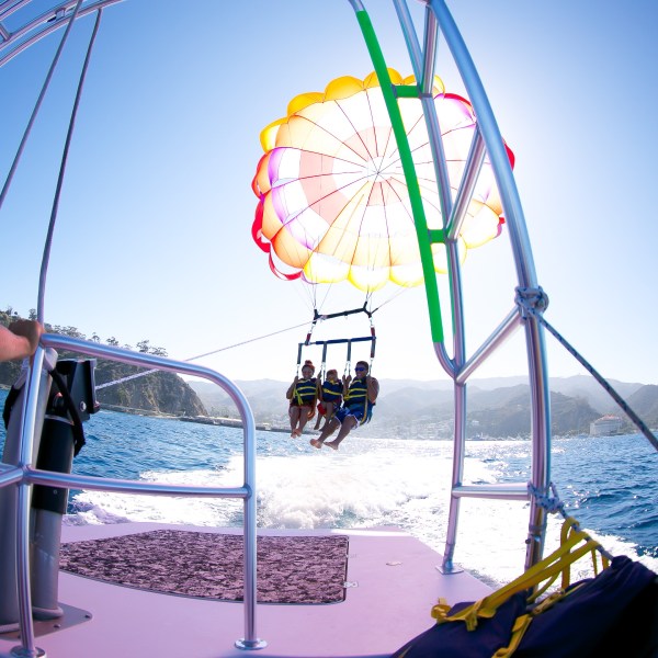 A group of people parasailing in Avalon.