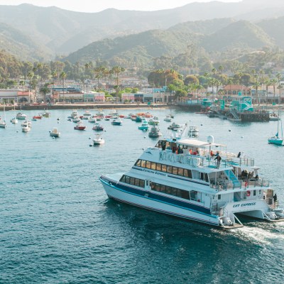 Cat Express entering Avalon with hills and small boats in the background.