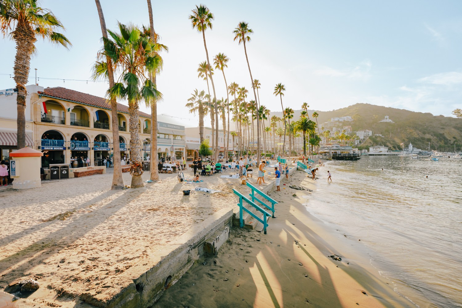A beach on Catalina Island with palm trees in the background.